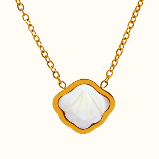 Seashell necklace